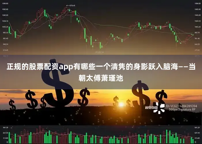 正规的股票配资app有哪些一个清隽的身影跃入脑海——当朝太傅萧瑾池